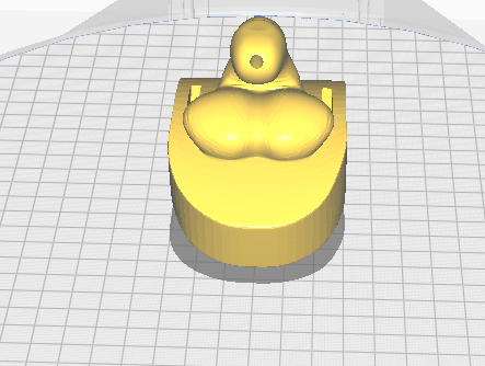 Modèle anatomique masculin 3D – Version circoncis et non circoncis - Estrie3DPrint