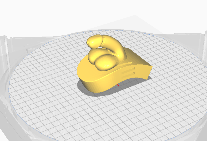 Modèle anatomique masculin 3D – Version circoncis et non circoncis - Estrie3DPrint