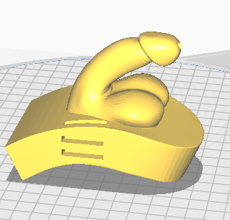 Modèle anatomique masculin 3D – Version circoncis et non circoncis - Estrie3DPrint